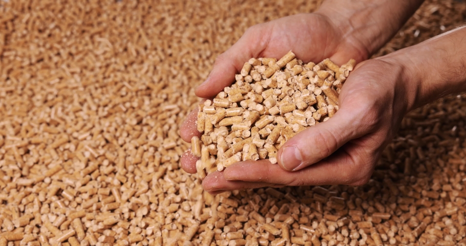 wood pellets in hands. biomass, renewable and sustainable energy Royalty-Free Stock Footage #1083308713