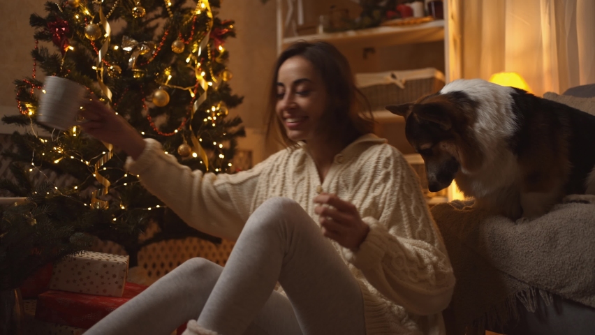 Beautiful laughing woman sits on floor with mug of coffe close to funny Welsh Corgi dog sitts at couch in festive decorated house with Christmas tree. tender girl stroking and petting her dog | Shutterstock HD Video #1083311071
