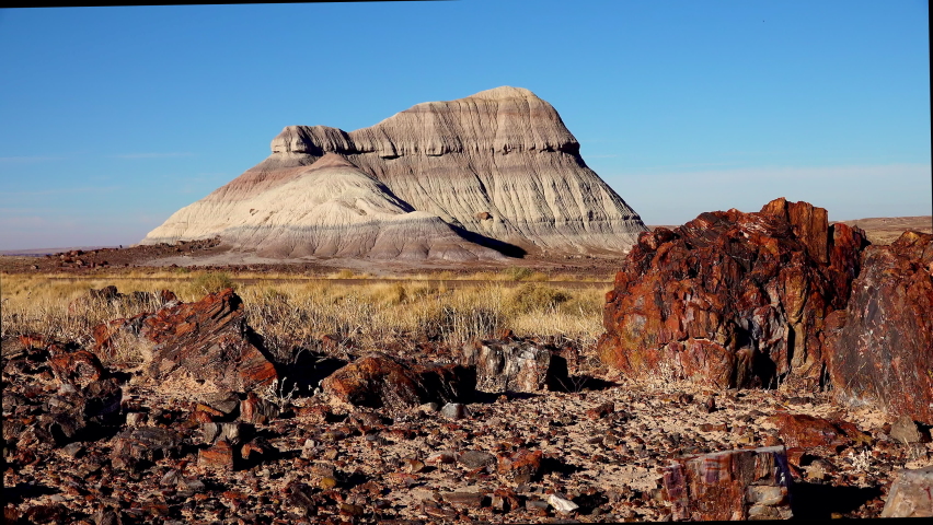 The trunks of petrified trees, multi-colored crystals of minerals in the foreground. Petrified Forest National Park, Arizona