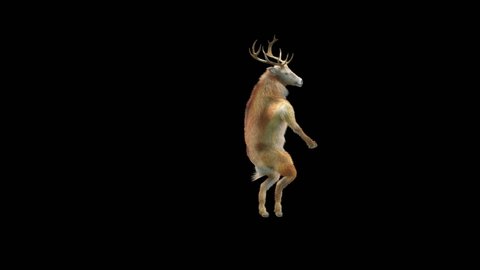Deer Dancing, 3d rendering, Animation Loop, cartoon, included in the end of the clip with luma matte.