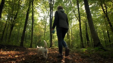Woman walking the dog in the park forest. travel concept. Wide shot