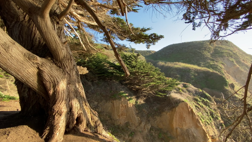 Сamera movement. mountainous area with trees behind which the ocean is visible in sunny weather