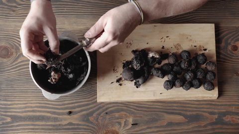 male hands peel fresh walnut shell. peeling american black walnut. ripe nuts. view from above