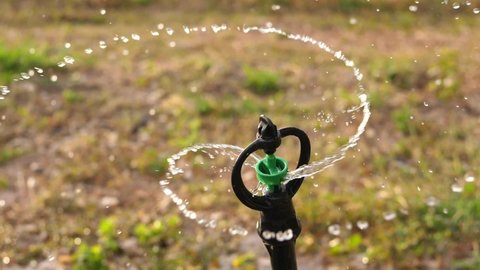 Springer watering plant in the garden.Close up water sprinkler,Water sprinkler system working in agricultural farms,