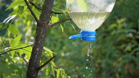 Homemade Washbasin for Vacationers, Tourists in a Deciduous Forest. Water Flows Out of a Plastic Bottle. An artificial drinker weighs on a tree. Water droplets drip to ground. Slow motion. Close up.