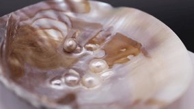 video of a mother-of-pearl shell with several natural pearls inside,