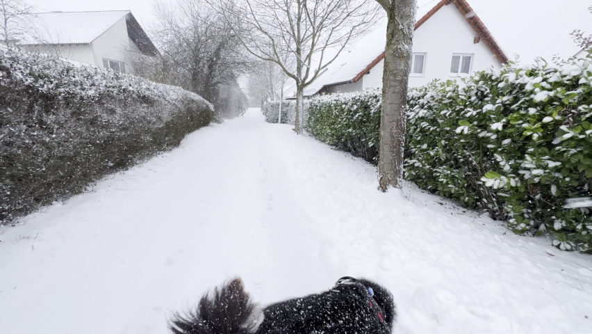 Wide pov shot of walking the dog on a snowy winter day in typical German neighborhood. Royalty-Free Stock Footage #1083368812