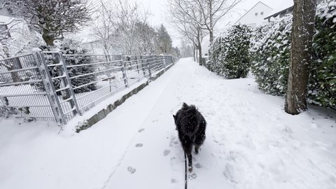 Wide pov shot of walking the dog on a snowy winter day in typical German neighborhood.