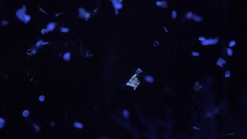 Close-up of the microplastics at The Great Pacific garbage patch.