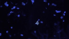 Close-up of the microplastics at The Great Pacific garbage patch. - Powered by Shutterstock - Get 15% off with code: PIKWIZARD15