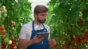 Agronomist innovate tablet checking tomatoes growth level in technological farm. Focused man farmer inspecting quality green plants in greenhouse. Agronomy cultivation process agribusiness concept - Powered by Shutterstock - Get 15% off with code: PIKWIZARD15