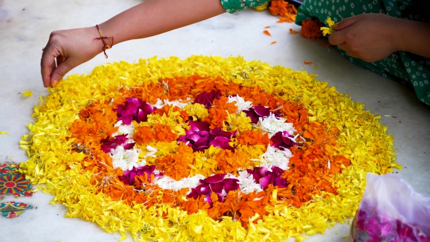 young indian woman sitting cross legged placing flower petal patterns on teh ground making a rangoli pookalam for the hindu festival of diwali, onam, bihu or a wedding with marigold jasmine flowers