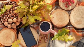 Autumn sunny bright picnic background with bright yellow seasonal leaves, wooden decor, autumn nuts, mug of hot steaming tea and black smartphone laying on wooden organic circle cut of tree