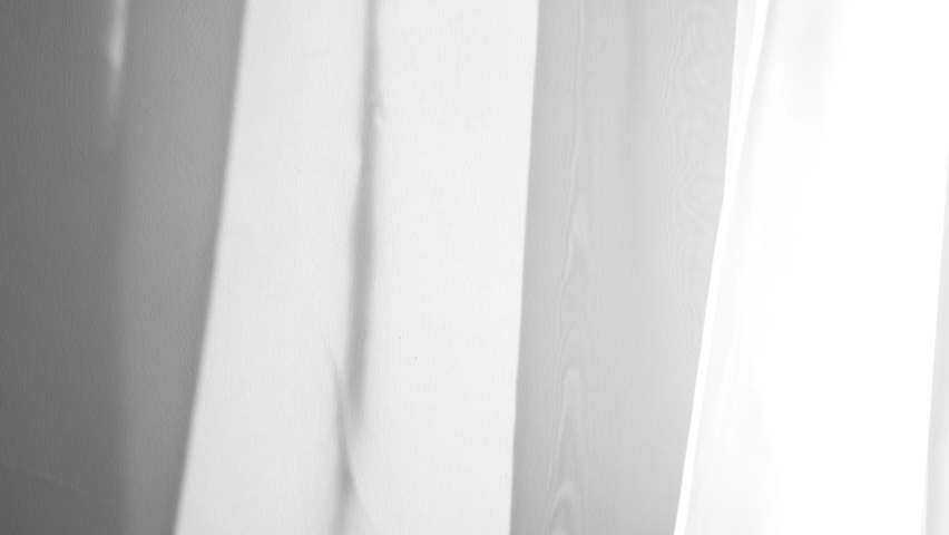 Sunny thin fabric of window curtains moving slowly isolated on white wall background. Abstract black and white blurry shadows and silhouettes from curtains reflected on wall backdrop Royalty-Free Stock Footage #1083394792