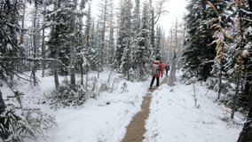 POV Shot of Mountaineer walking with taking video by smartphone in snowy pine forest at Yoho national park in snowing day