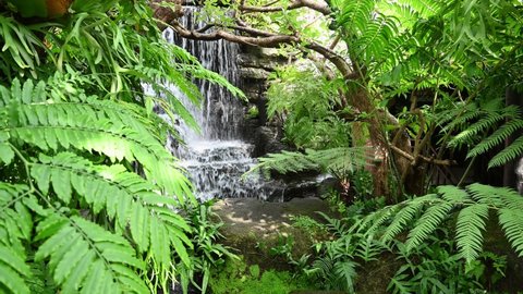 Artificial waterfall flowing with green plant in botanical garden 