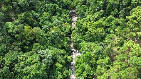 Aerial view of tropical forest, Aceh Besar, Aceh.