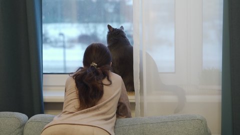 Woman with cat looks out the window in winter, sad woman in apartment with gray cat. High quality 4k footage