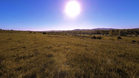 4K UHD mountain meadow timelapse at the summer or autumn time. Wild nature and rural field. Clouds, trees, green grass and sun rays movement.