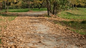  drone takes off dry leaves on the ground as it flies close to ground, autumn