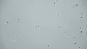 Time lapse of snow flakes falling on a window and melting. - Powered by Shutterstock - Get 15% off with code: PIKWIZARD15