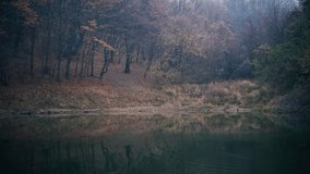 Handheld cinematic shot of a mystical forest lake with floating autumn leaves. - Powered by Shutterstock - Get 15% off with code: PIKWIZARD15