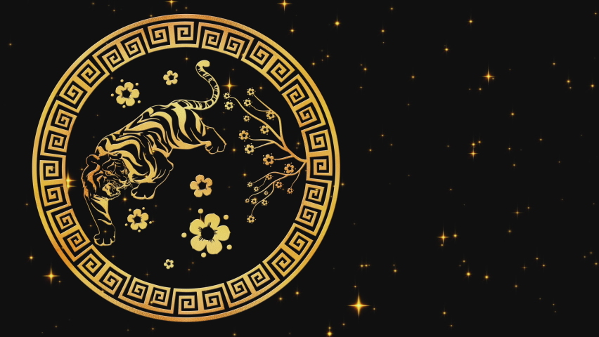 Happy Chinese New Year 2022, zodiac sign tiger on black background with gold stars. Chinese festivals. 4K video animation. Happy new year 2022, year of the tiger Royalty-Free Stock Footage #1083440704
