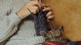 Knitting and cat. The kitty is played with knitting. The girl knits next to the cat. Home comfort. Housewife employment