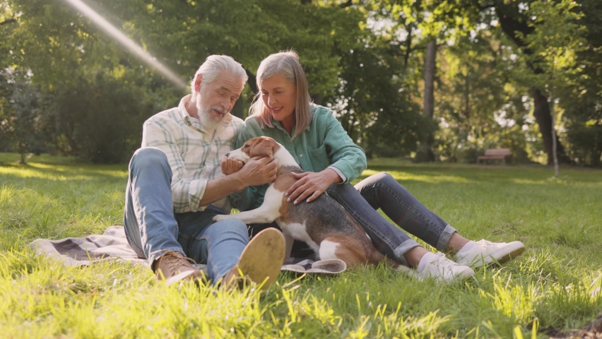 Senior couple sitting at the grass with their pedigree cute dog. Happy people taking their beagle dog for walk along path in summer countryside Royalty-Free Stock Footage #1083448660