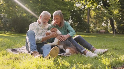 Senior couple sitting at the grass with their pedigree cute dog. Happy people taking their beagle dog for walk along path in summer countryside