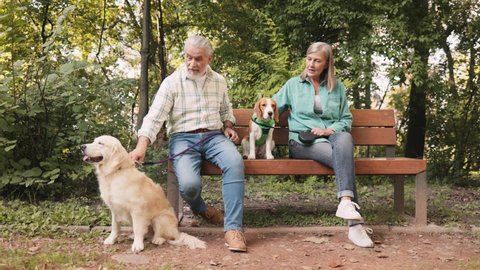 Full length shot of cute senior couple sitting at the bench with their beagle and retriever dogs together at the street and having conversation with pleasure. Pets concept