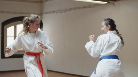 Tracking shot of focused girls having karate class in gym. Medium shot of concentrated teenagers training together, doing physical activity, devoting time to hobby. Martial arts, sport concept