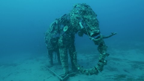 Sculpture of an elephant on the seabed. Lighthouse dive site, Red Sea, Dahab, Egypt. 4K-60fps