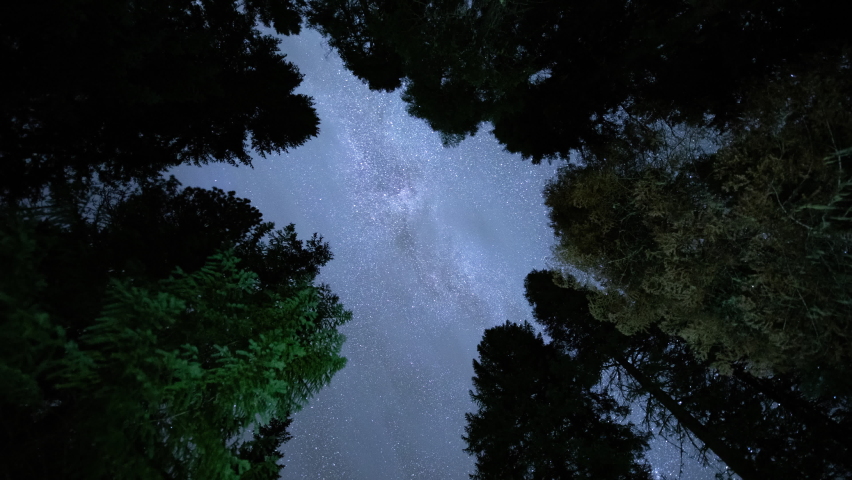 Time Lapse - Beautiful Milky Way Galaxy above Trees