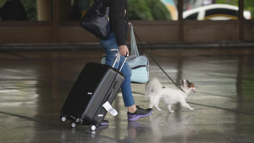 People on airport terminal or railway station with luggage, carrying bags and suitcases by handler. Traveling journey tourist walking with her dog to flight boarding arrival, vacation trip departure. Royalty-Free Stock Footage #1083485293