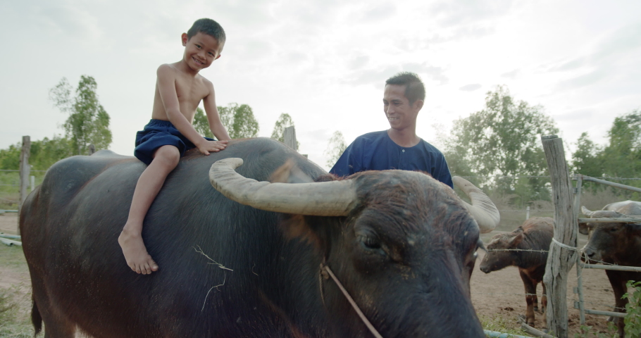 A father in traditional clothes and a son who sitting on a buffalo