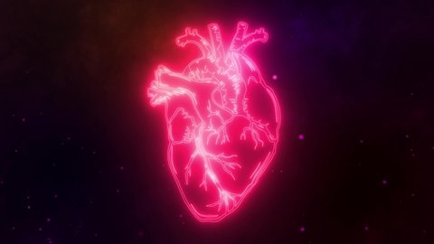 digital video of human heart red.