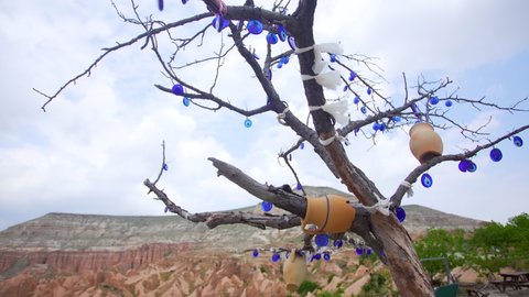 Amazing unusual landscape of turkish Cappadocia. Bare branches of old tree decorated with blue glass eye-shaped amulets (Nazars) isolated on blurry Cappadocia scenic landscape background