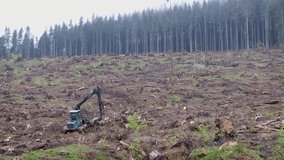 Massive deforestation in Ciucas Mountains, Romania. Situated in Europe, Ciucas mountains are part of the Carpathian mountain range.