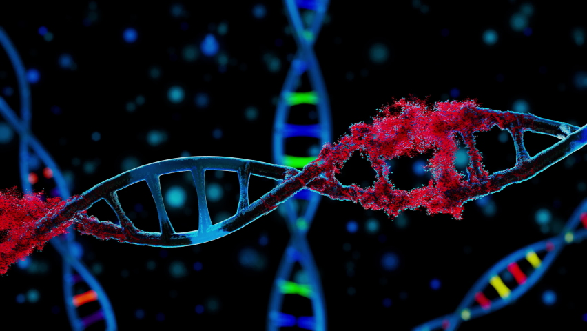 DNA Strand Disintegration in millions of red particles on blue dark Background, DNA spinning while the cell is disintegrating, virus infection spread | Shutterstock HD Video #1083514567