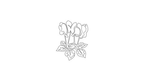 Animation of one line drawing beauty fresh cyclamen for logo. Decorative perennial flowering plant concept for home decor wall art poster print. Continuous line self draw animated. Full length motion.