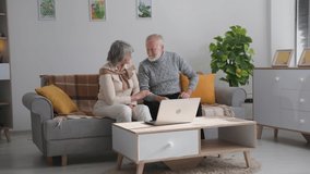 elderly people have video calls, adorable grandparents have fun communicating using a camera on a laptop with children while sitting at home