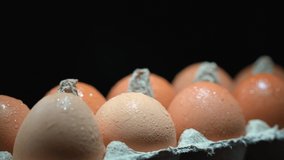 Eggs covered with water drops close up in egg protective container on black background. Foreground and background in blur. Focus in the center.