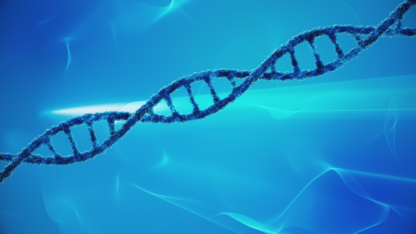 Blue DNA Strand made of blue spheres animated on a light blue looping Background; DNA molecule composed of two polynucleotide chains - Powered by Shutterstock - Get 15% off with code: PIKWIZARD15
