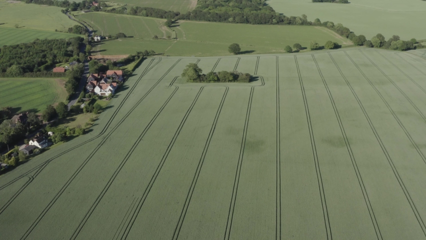 Perfectly prepared lush green farmers fields in Halstead, Castle Hedingham, Essex.