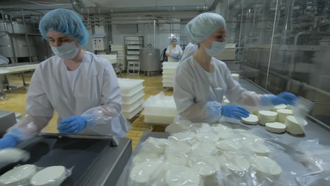 Workers Packaging Cut Whey Cheese Pieces At Production Workshop. Female Factory Worker Cuts Whey Cheese On Production Line. White Whey Cheese Production Manually Handled By Workers. Cut cheese