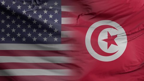 United States and Tunisia flag seamless closeup waving animation. United States and Tunisia Background. 3D render, 4k resolution