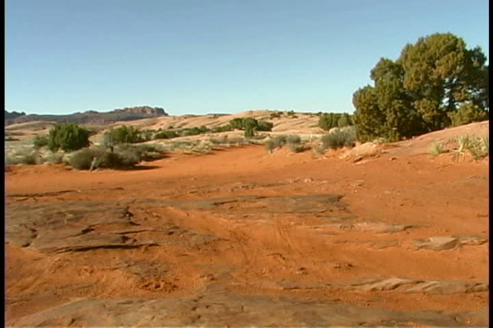 Couple mountain biking