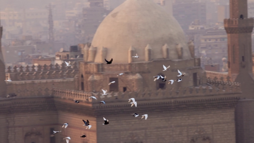 Slow motion shot of pigeons birds flies against background of Mosque Madrasa of Sultan Hassan, Cairo, Egypt. Birds in the city