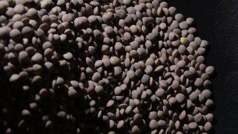 Lentils in a black tray gyrating, rotation